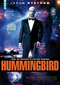 Poster to the movie "Hummingbird" #53898