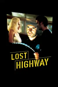 Poster to the movie "Lost Highway" #120878