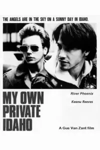 Poster to the movie "My Own Private Idaho" #120091