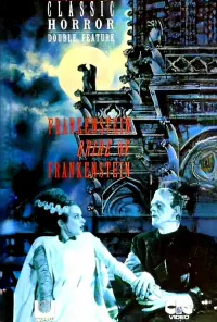 Poster to the movie "The Bride of Frankenstein" #114130