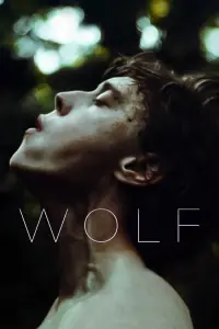 Poster to the movie "Wolf" #315323