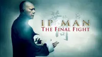 Backdrop to the movie "Ip Man: The Final Fight" #302376