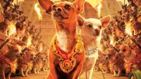 Backdrop to the movie "Beverly Hills Chihuahua" #329037