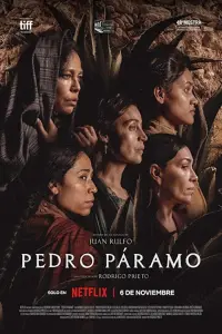 Poster to the movie "Pedro Paramo" #681823