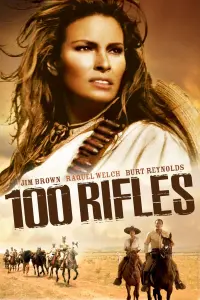 Poster to the movie "100 Rifles" #351515