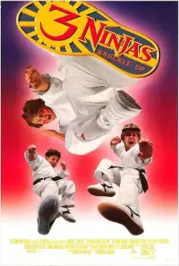 Poster to the movie "3 Ninjas Knuckle Up" #341905