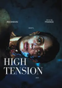 Poster to the movie "High Tension" #680904