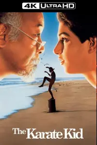 Poster to the movie "The Karate Kid" #60701