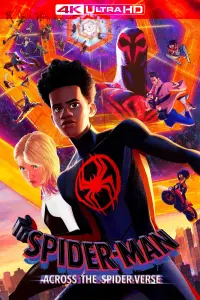 Poster to the movie "Spider-Man: Across the Spider-Verse" #3200