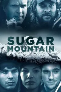 Poster to the movie "Sugar Mountain" #358661