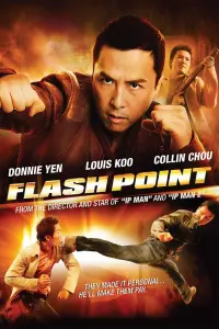 Poster to the movie "Flash Point" #253974