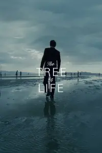 Poster to the movie "The Tree of Life" #118915