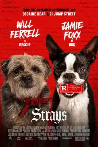 Poster to the movie "Strays" #12998