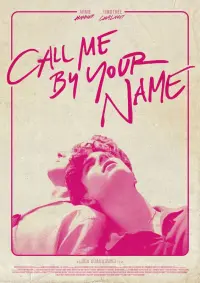 Poster to the movie "Call Me by Your Name" #37226