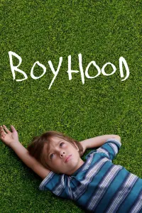 Poster to the movie "Boyhood" #129543