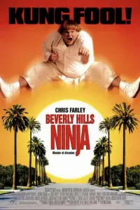 Poster to the movie "Beverly Hills Ninja" #348961