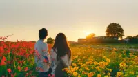 Backdrop to the movie "The Hows of Us" #627414