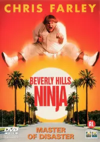 Poster to the movie "Beverly Hills Ninja" #124387