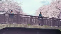 Backdrop to the movie "Let Me Eat Your Pancreas" #344687