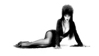 Backdrop to the movie "Elvira, Mistress of the Dark" #278280