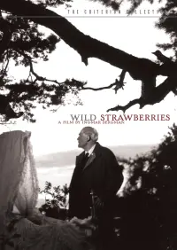 Poster to the movie "Wild Strawberries" #177617