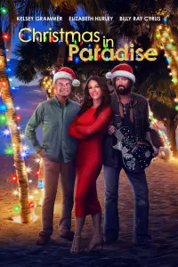 Poster to the movie "Christmas in Paradise" #145624