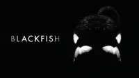 Backdrop to the movie "Blackfish" #155008