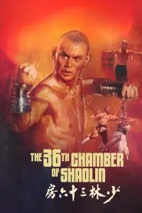 Poster to the movie "The 36th Chamber of Shaolin" #213866