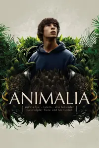 Poster to the movie "Animalia" #506867