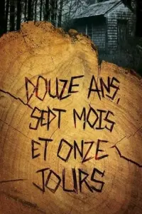 Poster to the movie "Douze ans, sept mois et onze jours" #458453