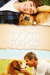 Poster to the movie "A Dog