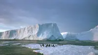 Backdrop to the movie "Antarctica: On the Edge" #611067