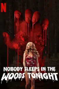 Poster to the movie "Nobody Sleeps in the Woods Tonight" #346847