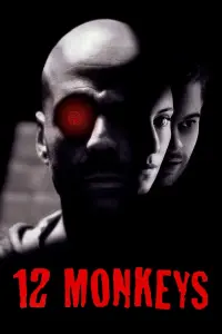 Poster to the movie "Twelve Monkeys" #24347