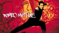 Backdrop to the movie "Romeo Must Die" #110198