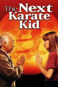 Poster to the movie "The Next Karate Kid" #63674