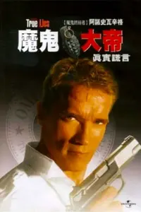 Poster to the movie "True Lies" #657643