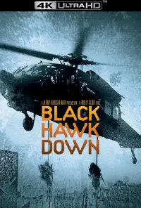 Poster to the movie "Black Hawk Down" #40643