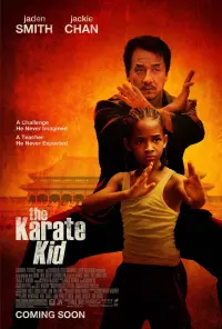 Poster to the movie "The Karate Kid" #281708