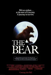 Poster to the movie "The Bear" #435570