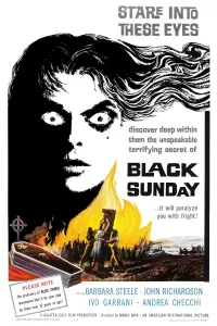 Poster to the movie "Black Sunday" #211567