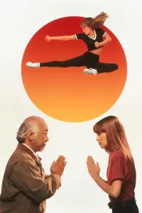 Poster to the movie "The Next Karate Kid" #336876