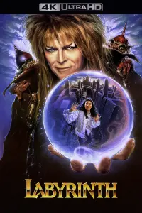 Poster to the movie "Labyrinth" #121838