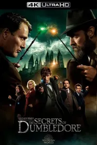 Poster to the movie "Fantastic Beasts: The Secrets of Dumbledore" #7220