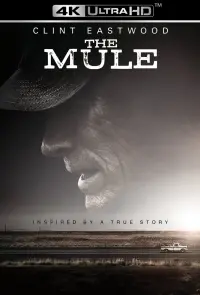 Poster to the movie "The Mule" #69751