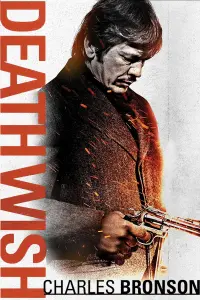 Poster to the movie "Death Wish" #254903