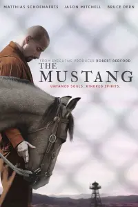 Poster to the movie "The Mustang" #252807