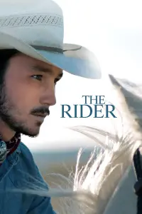 Poster to the movie "The Rider" #227968