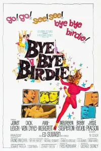 Poster to the movie "Bye Bye Birdie" #157882