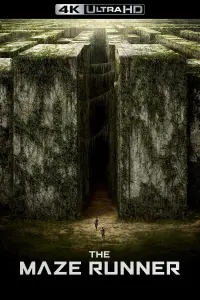 Poster to the movie "The Maze Runner" #7913